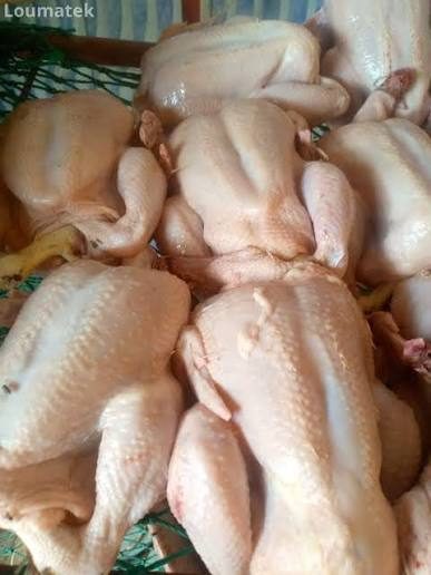 Poulets de chair